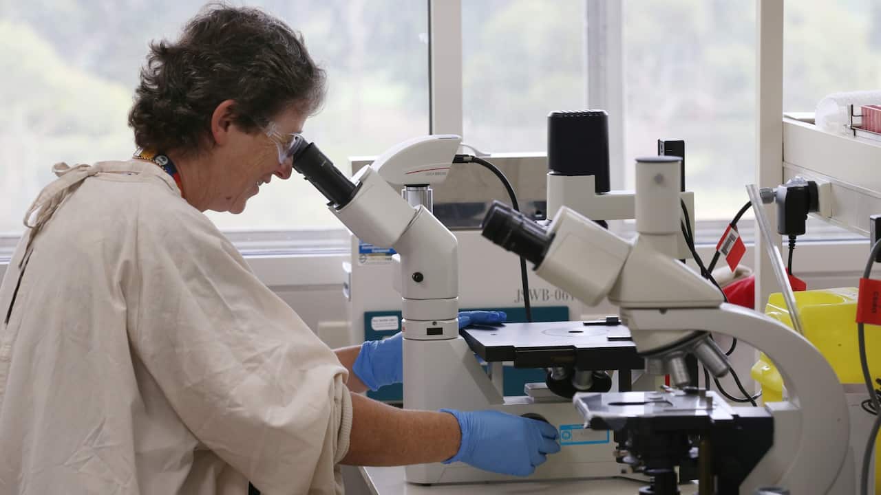 Scientist at work during a tour of the CSIRO's high-containment facility in Geelong