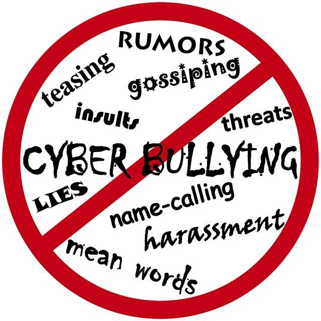 Cyber Bullying