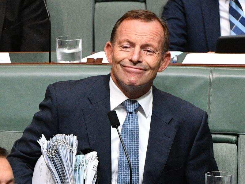 Tony Abbott during Question Time.