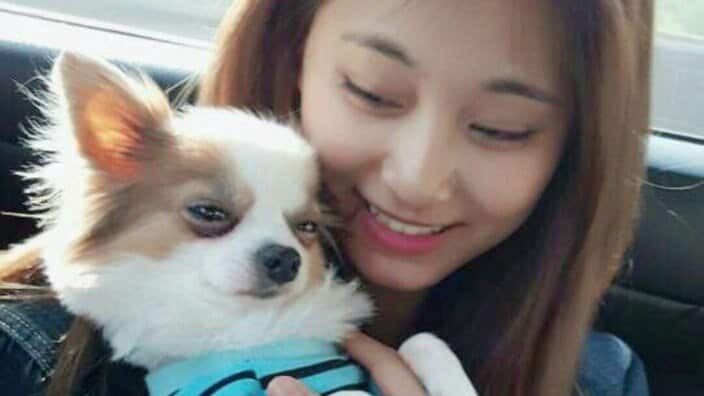 TWICE Tzuyu Puppy