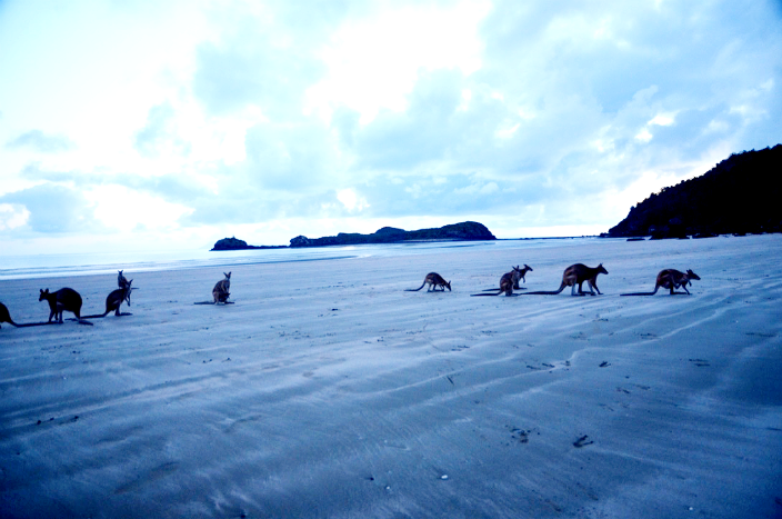 Queenslands Cape Hills 