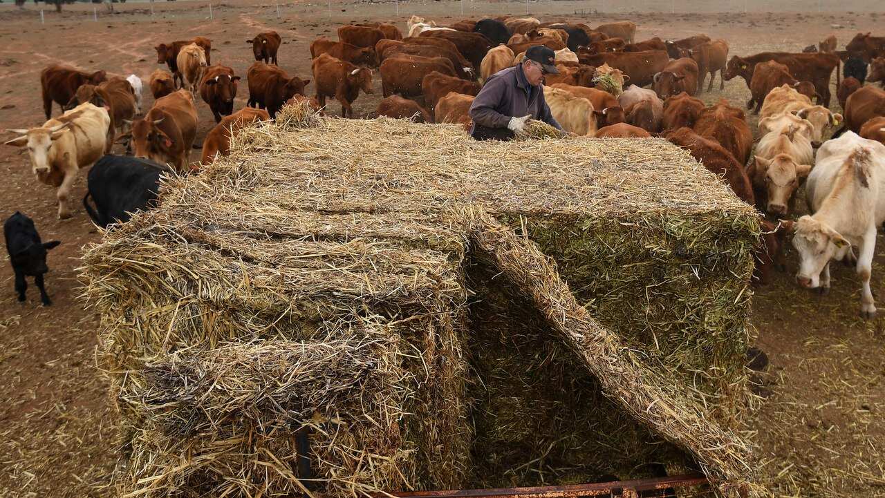 Migrants hired for agriculture work will get four-year working visas but must remain in a specified region.