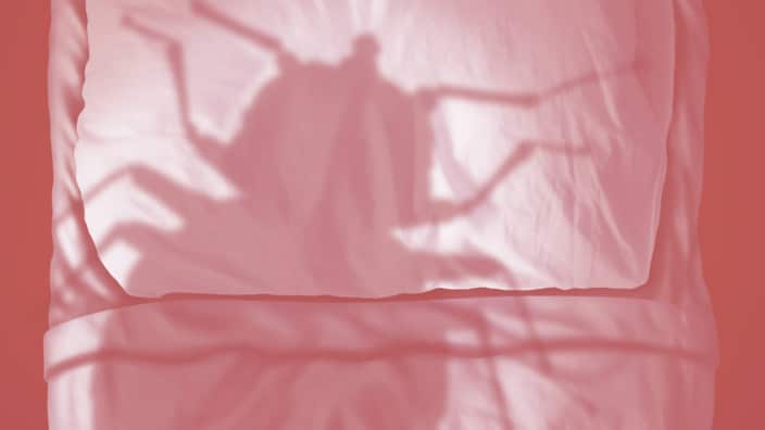 20-bedbugs.w704.h396.jpg