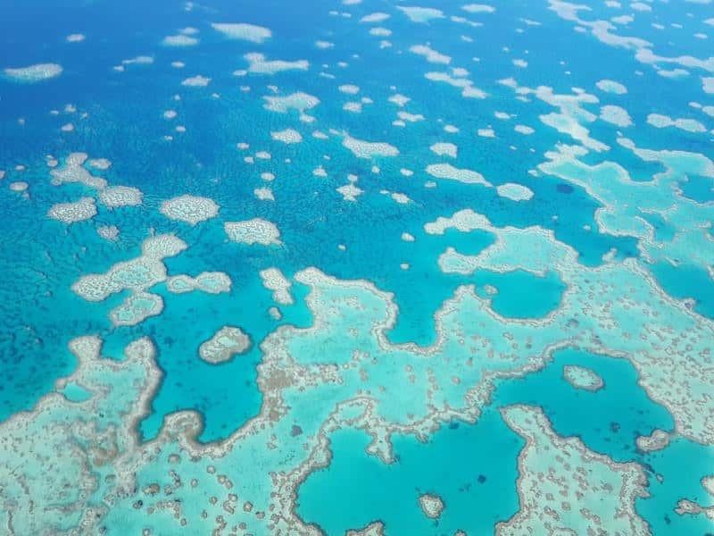 Part of the Great Barrier Reef.