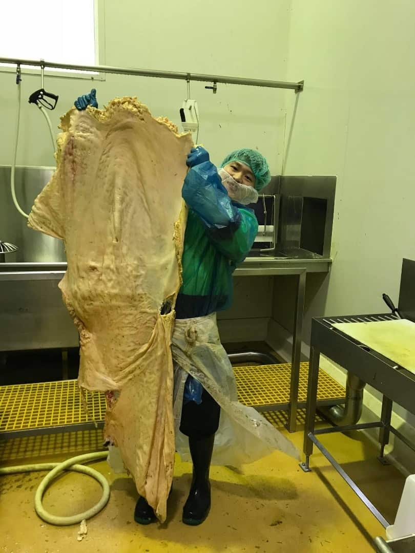 Hsien Tan Chen says he was on a working holiday visa when his employer went into liquidation. 