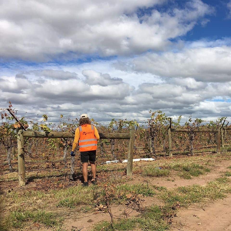 O ministro federal da agricultura criticou os desempregados por não aceitarem trabalhos em fazendas e por preferirem ficar em casa.