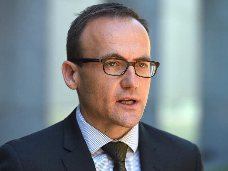 Federal Greens Member for Melbourne Adam Bandt