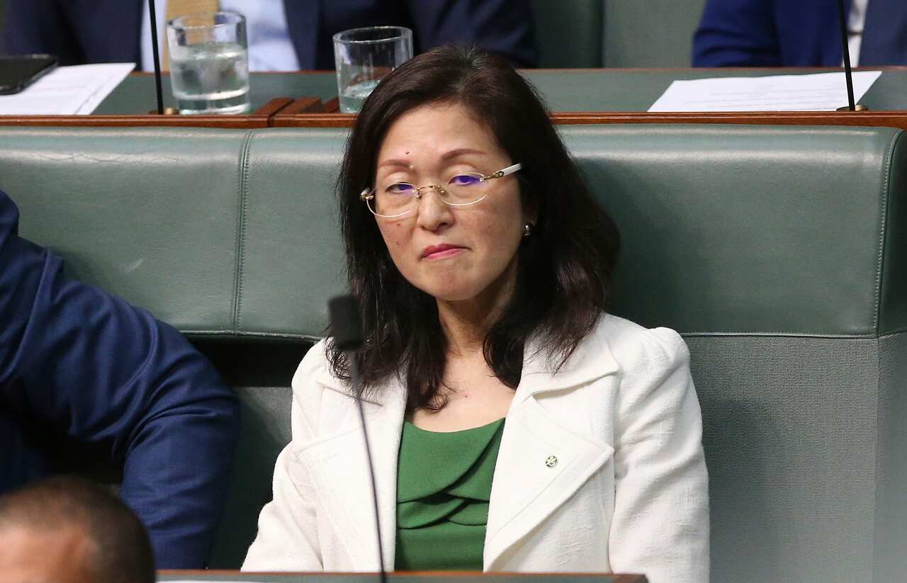 Gladys Liu in Parliament on Wednesday
