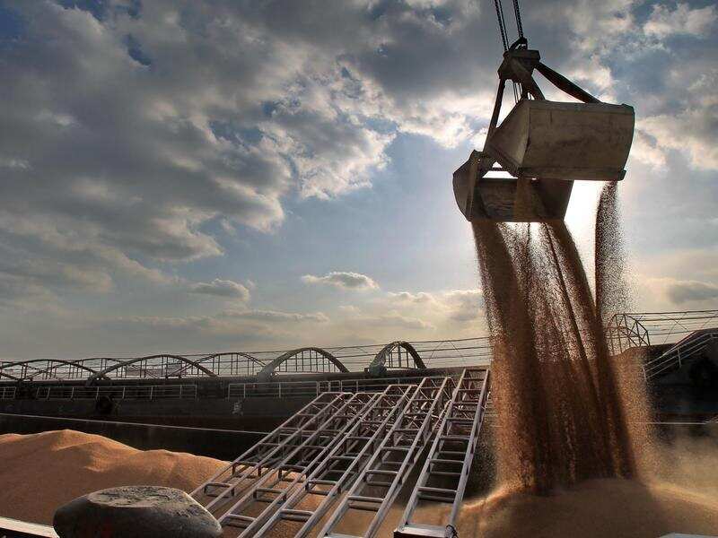 Imported American soybeans at a Chinese port