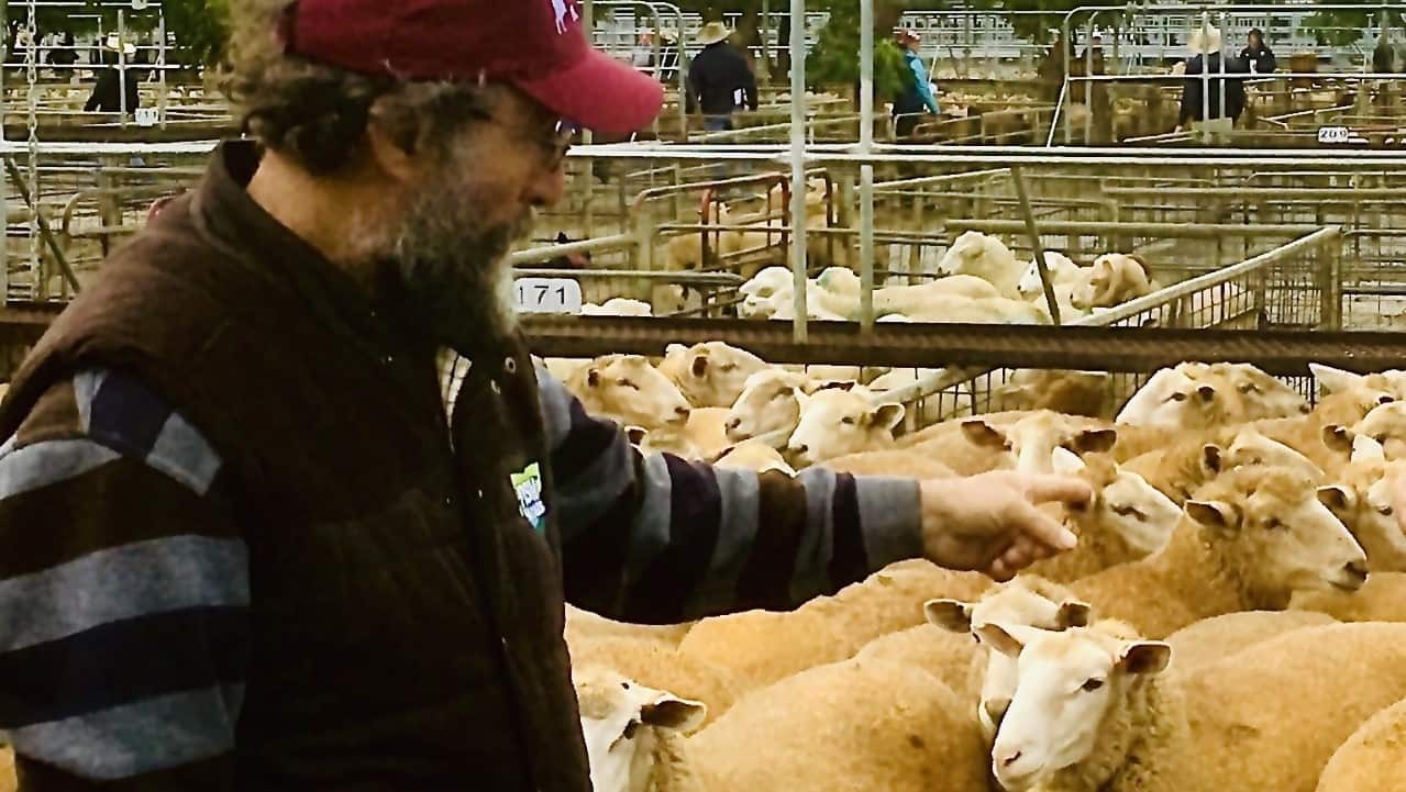 James Jackson on his sheep and cattle farm in Guyra, NSW.