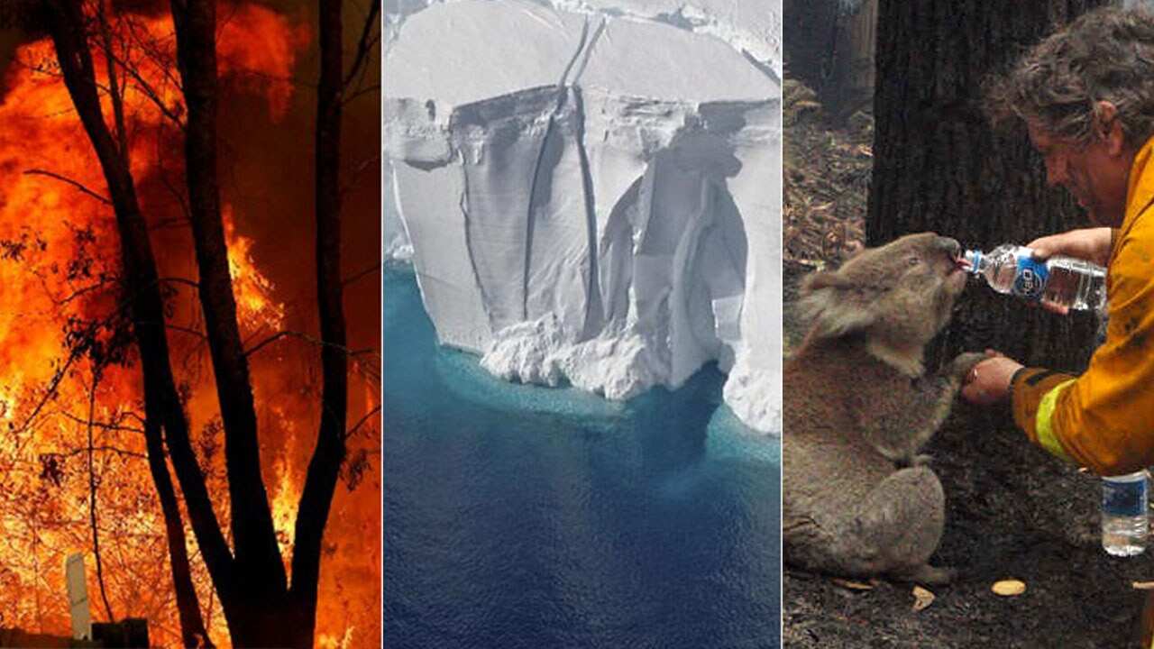 Climate change is altering the smell of rosemary, affecting its quality and quantity