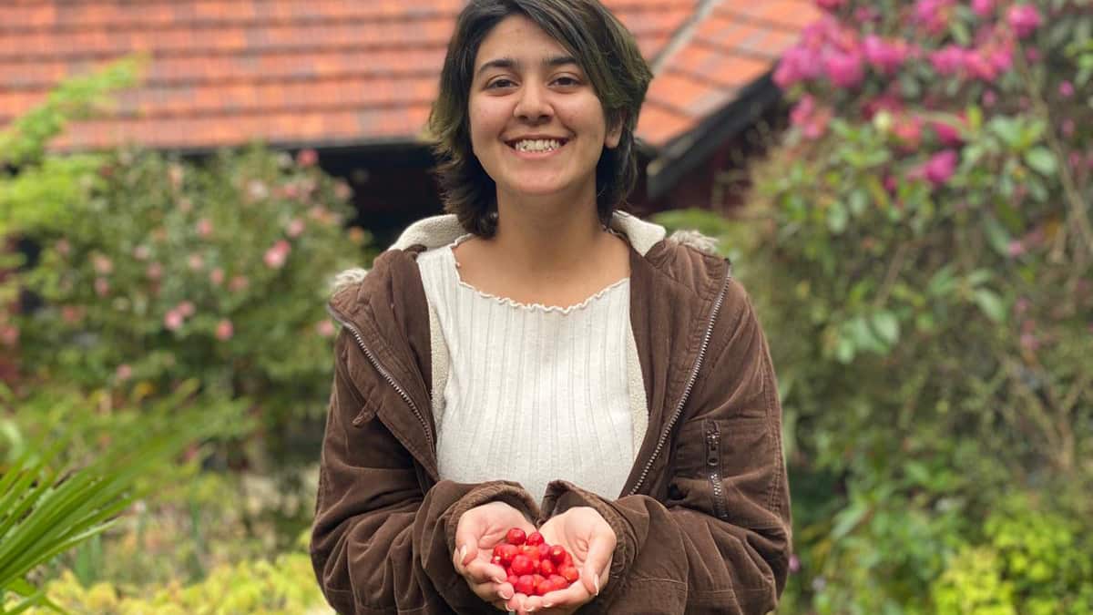 Supplied by Daizy Maan