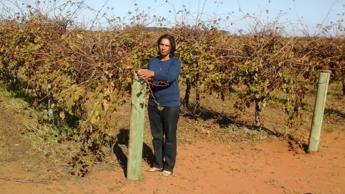Daljit Sanghera, an inspiration mother, and a farmer who was named Woman of the Year in SA's Riverland area