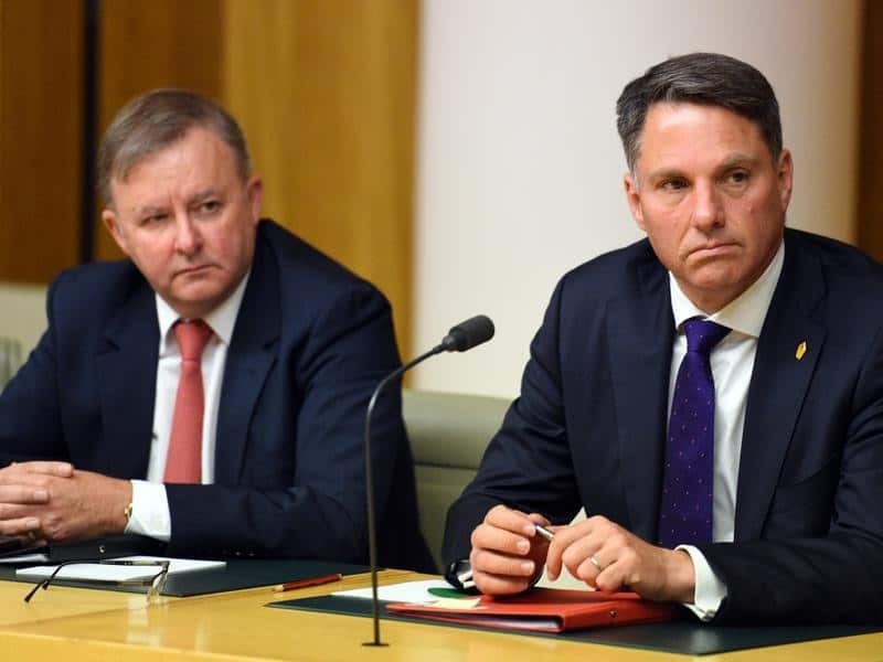 Anthony Albanese and Richard Marles.