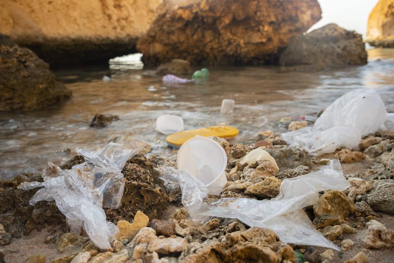 Plastic debris and face masks on the beach.