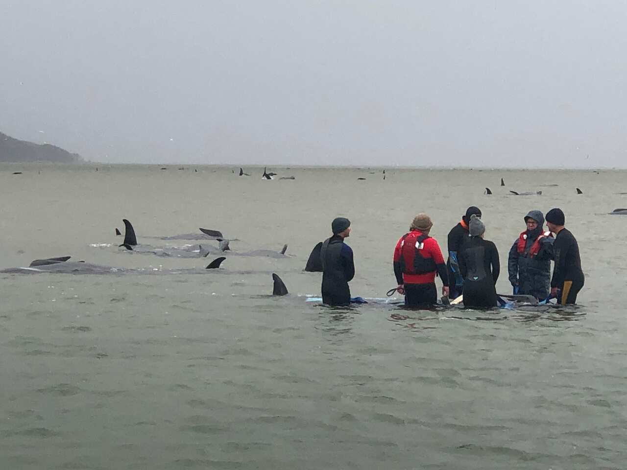 Rescuers discuss the situation at Macquarie Harbour in Western Tasmania.
