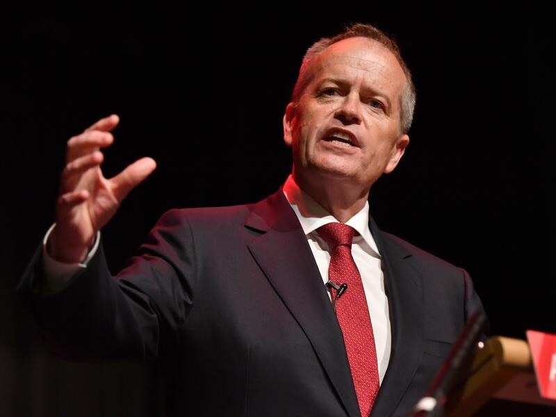 Bill Shorten the "cranky bear".