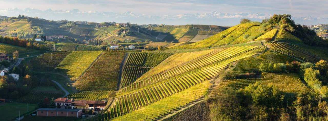DeliciarumWinesandFood