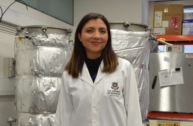 Denys Villa, profesora e investigadora en la escuela de Ingeniería Ambiental de la Universidad de Queensland, Australia