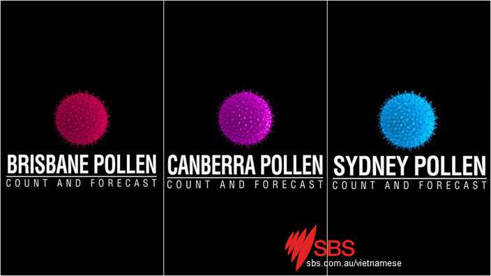 vietnamese, pollen count