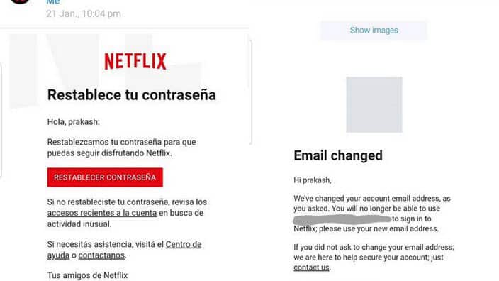 online netflix scam