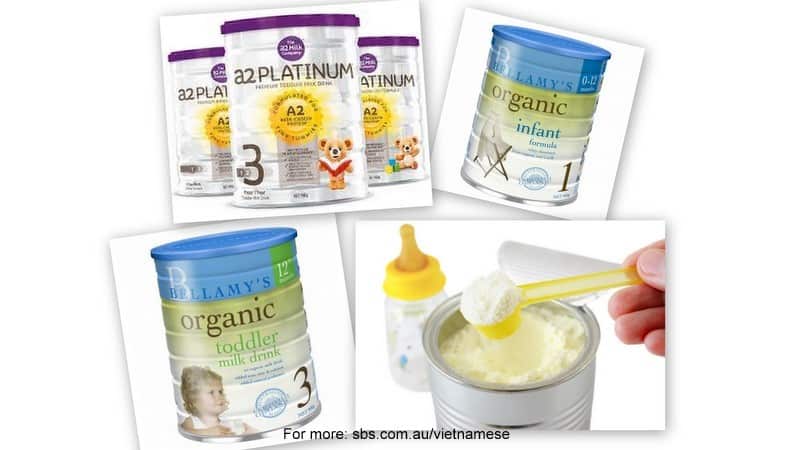 Infant formula