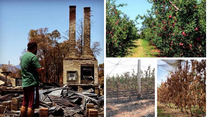 Hardeep Singh a.k.a Harry Singh came to live and work Batlow in 2009. 