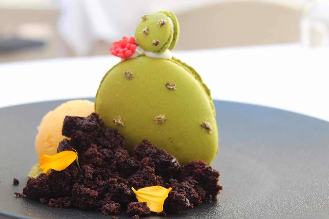 Un gelato al fico d’india con macaron al pistacchio ripieno di crema di ricotta e crumble al cioccolato.