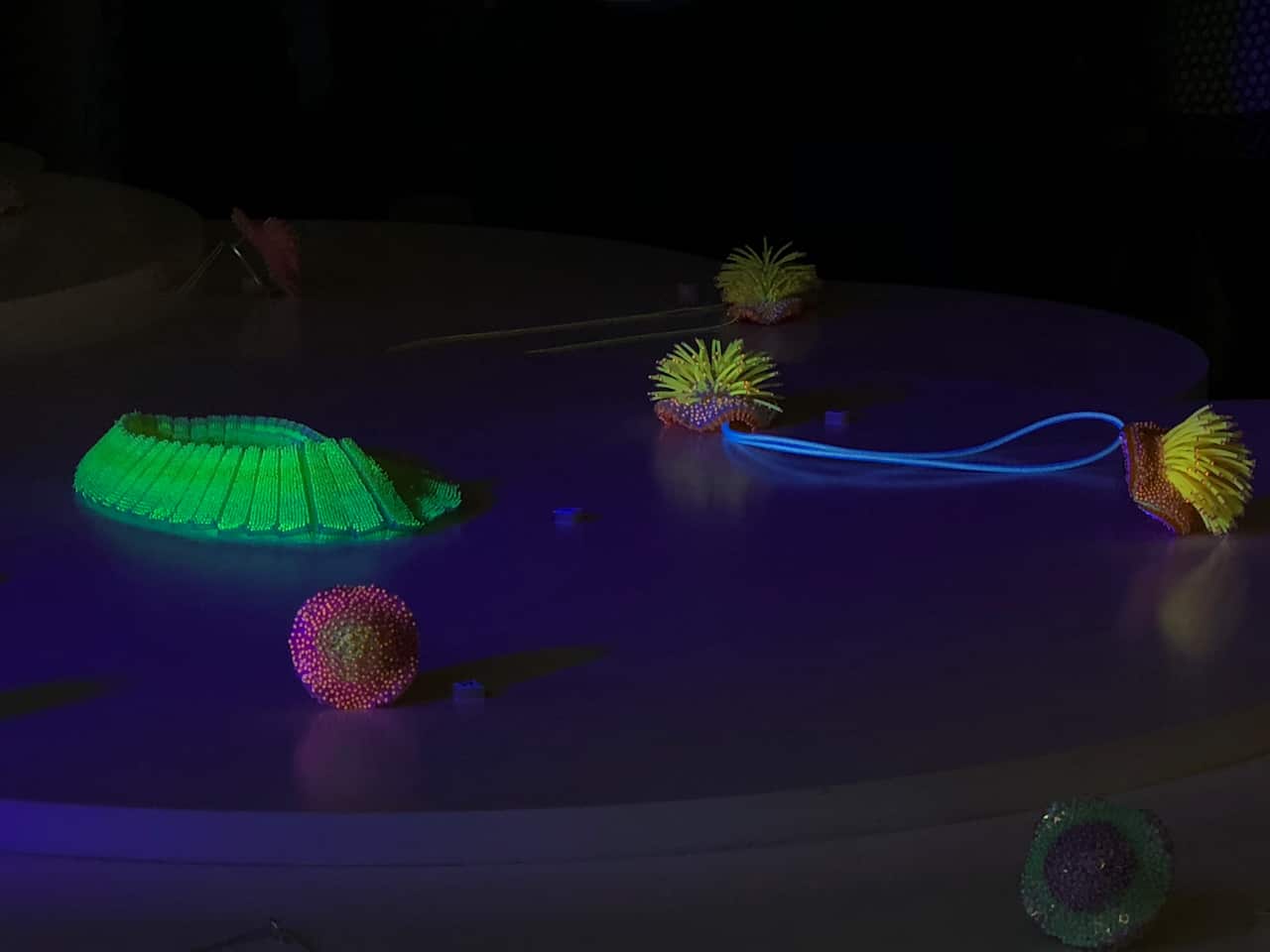 Wanshu Li's artworks