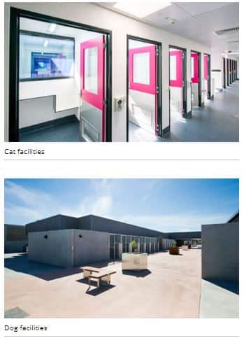 Animal Accommodation