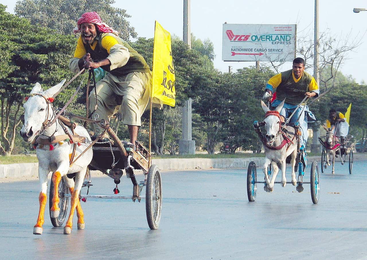 Pakistani donkey-cart racers react at the end of a race in Karachi on Sunday, 21 December 2003. More than 50 donkey-carts took part in the 10 km race. Donkey-cart racing is a part of everyday life for residents in southern Karachi.  EPA/AKHTAR SOOMRO