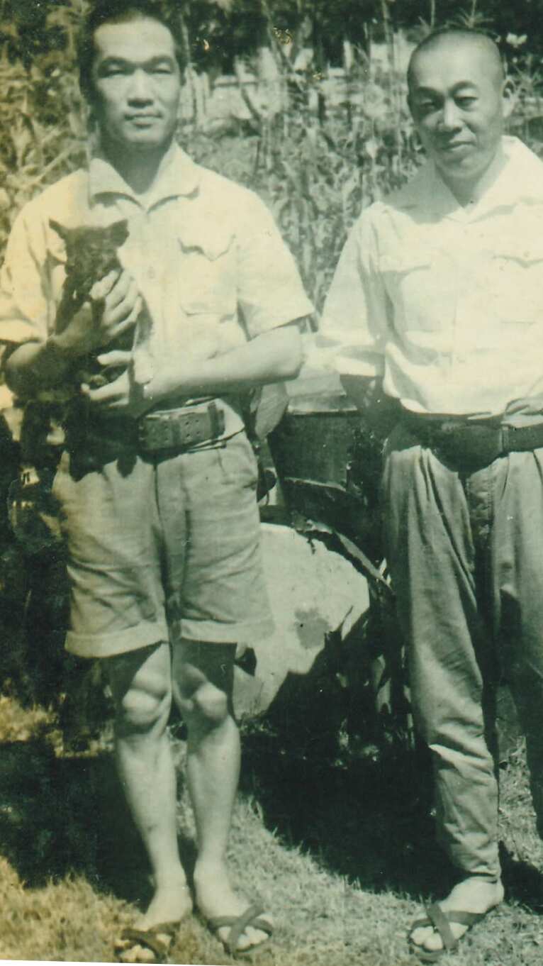 australian pow japanese doctor indonesia java