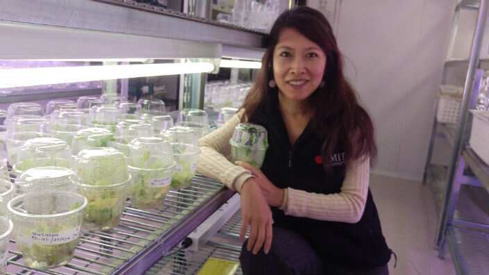 Dr Tien Huynh in lab