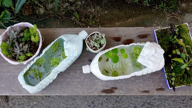          PET bottle shaped Japanese Arita porcelain artwoks by a Sydney-based artist Vivian White.                      