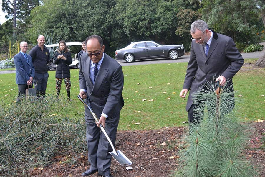 Prince Ermias Sahle Selassie 