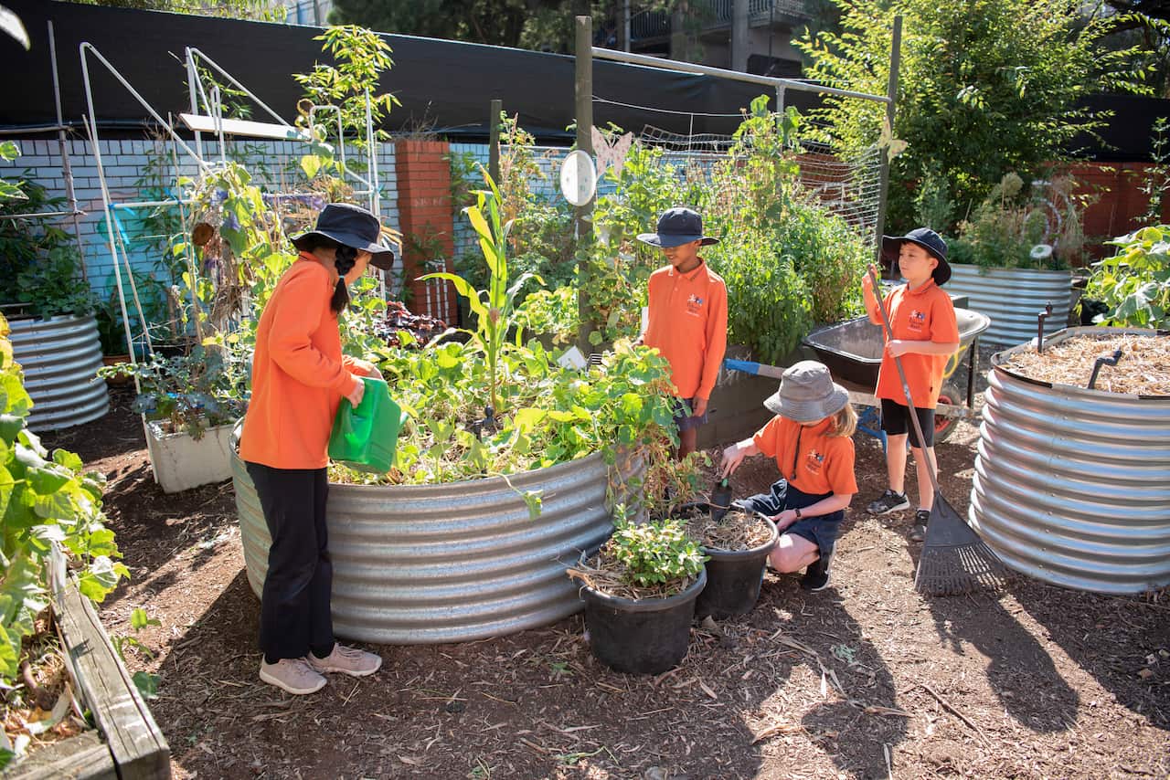 Trường tiểu học Richmond West là một ngôi trường hiếm hoi tại Victoria còn duy trì chương trình song ngữ Anh Việt.