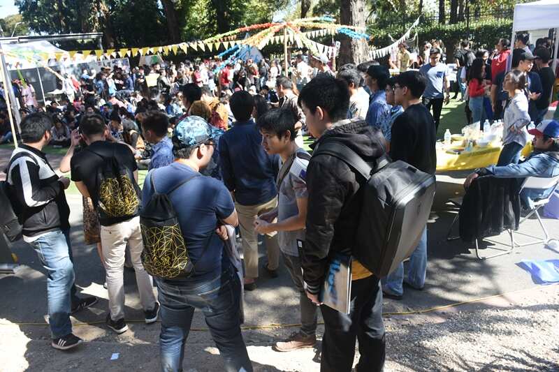 The crowds