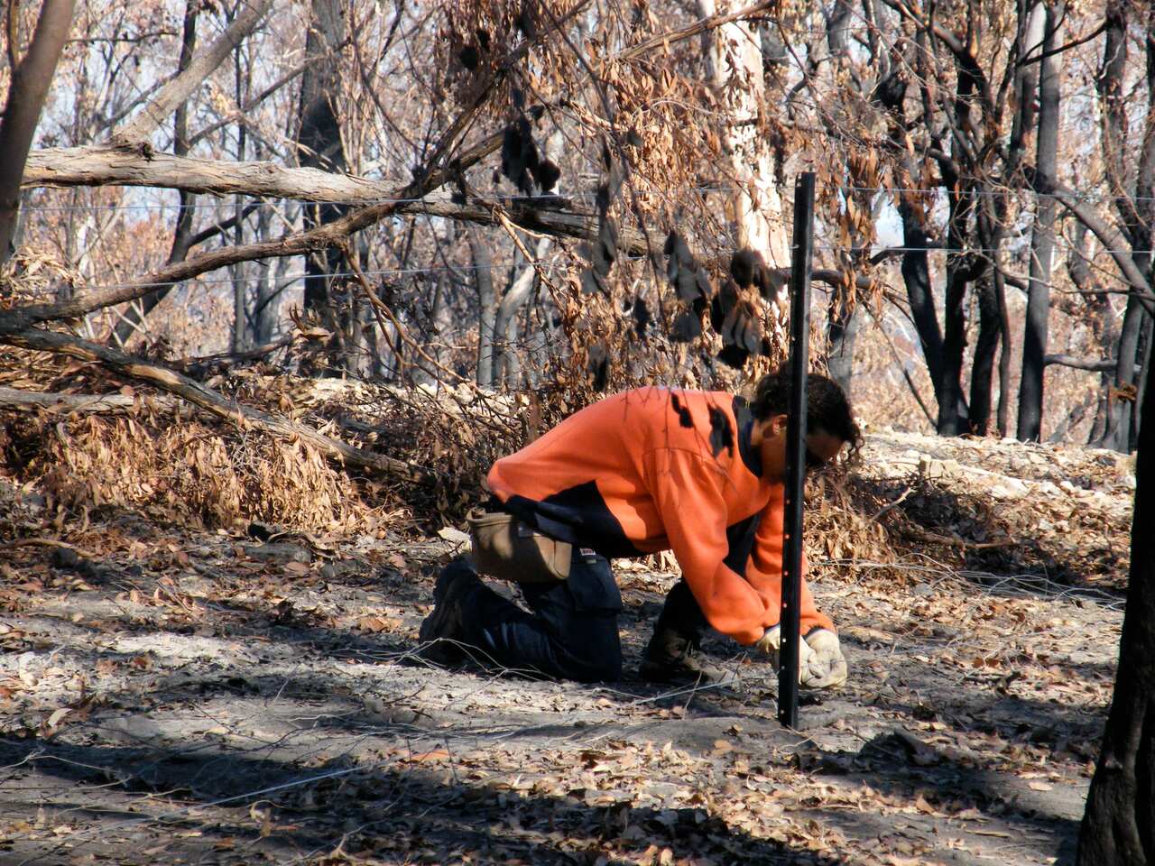 Mit BlazeAid kann man nach den Feuern helfen