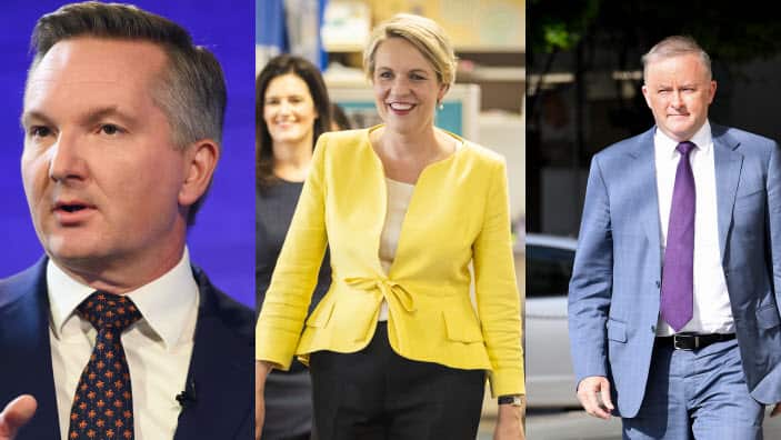 Left to Right: Chris Bowen, Tanya Plibersek and Anthony Albanese are prominent labor figures who may become the next labor leader.