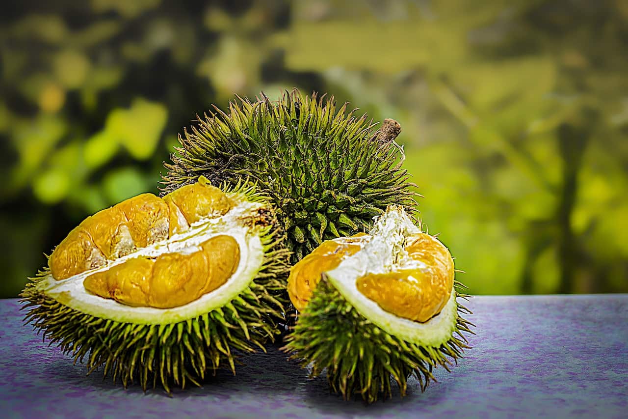 Image of a durian