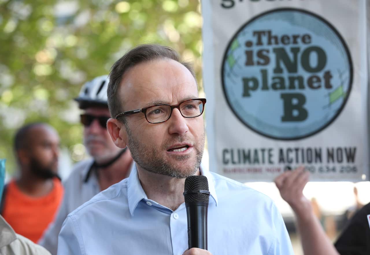 Greens MP Adam Bandt took aim at the Government on Saturday, claiming NSW's bushfires were a result of poor climate policy.