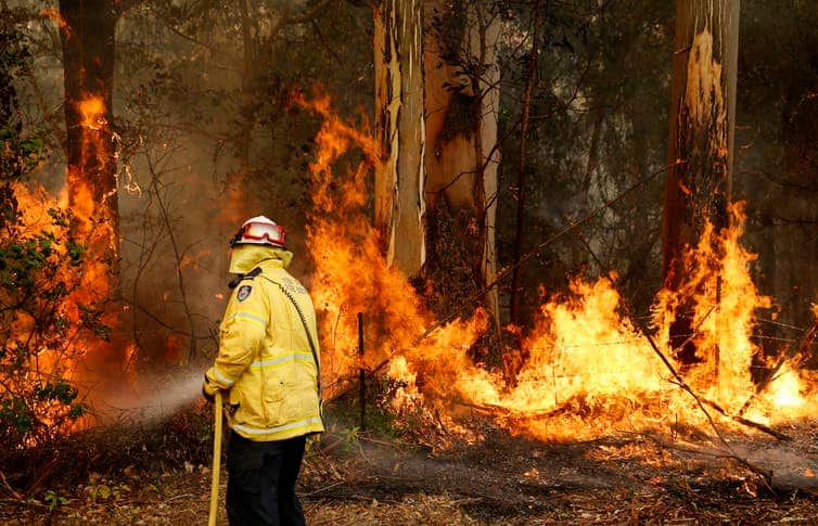 Bush fires