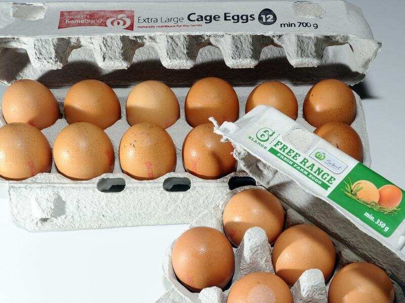 cartons of eggs at Woolworths
