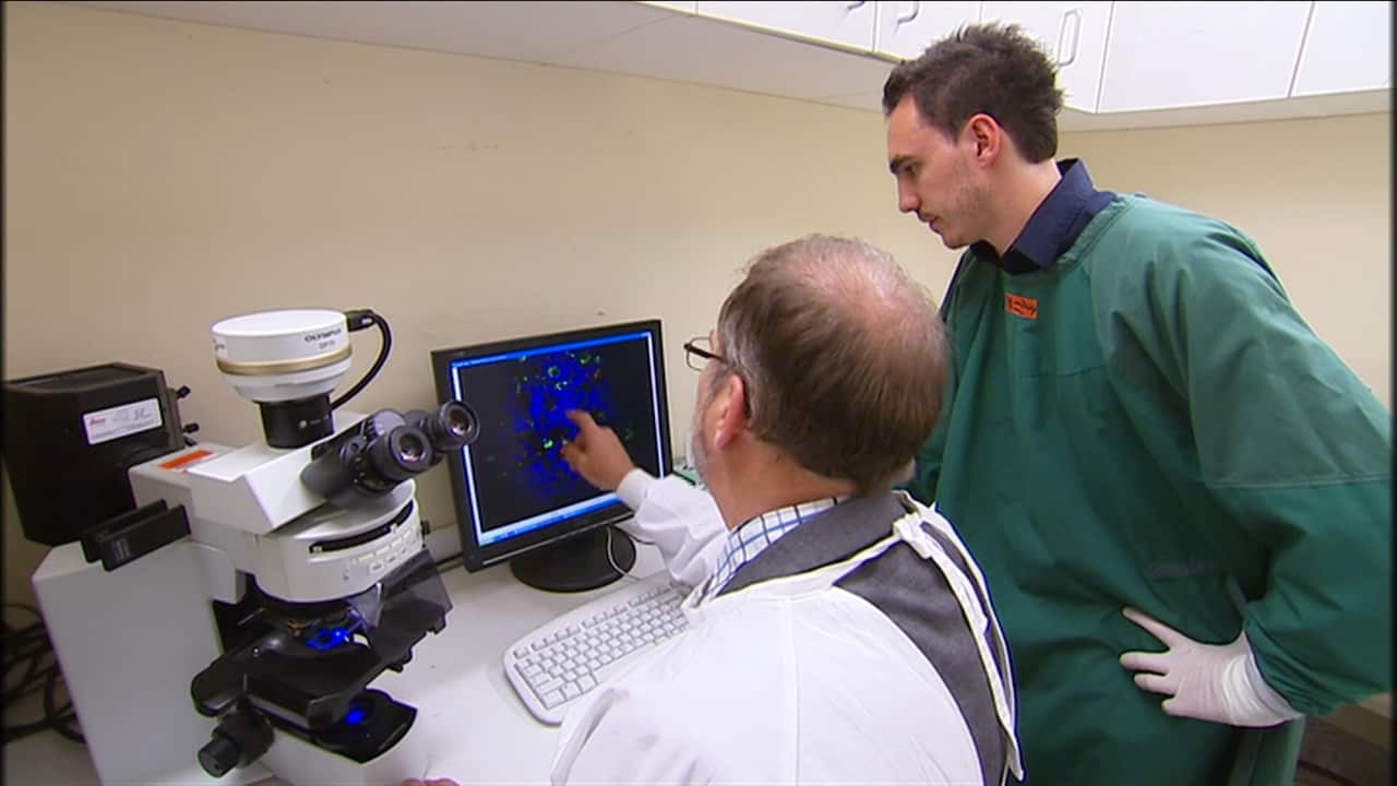 Are scientific studies sexist?