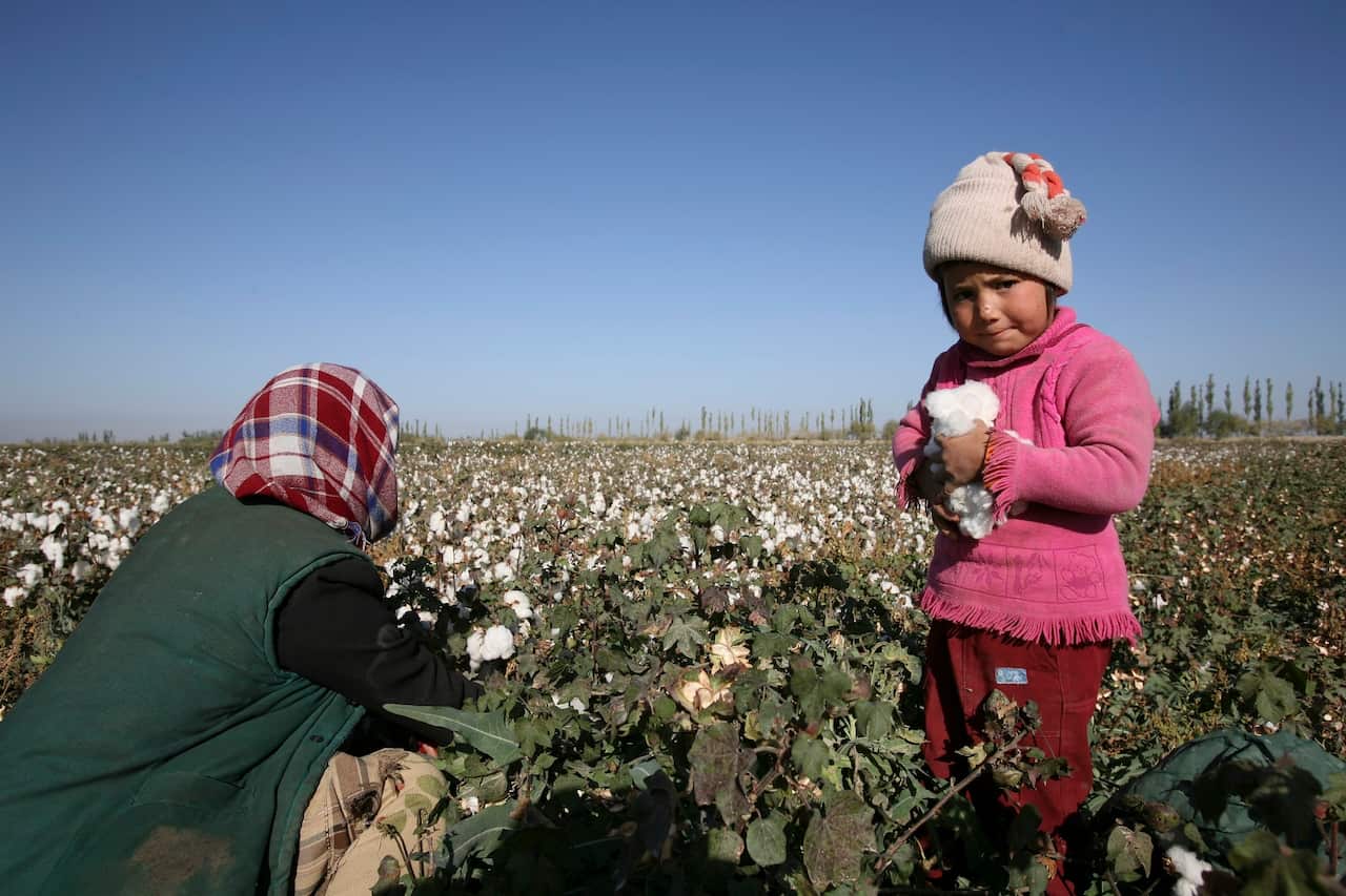 China has long been accused of using Uyghur forced labour for garment production.