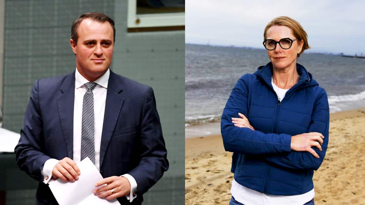 Zoe Daniel (right) will run against Liberal MP Tim Wilson in the Melbourne electorate of Goldstein.