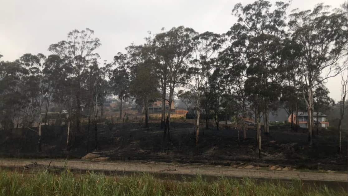 Scorched earth after Border fire tore through Eden.