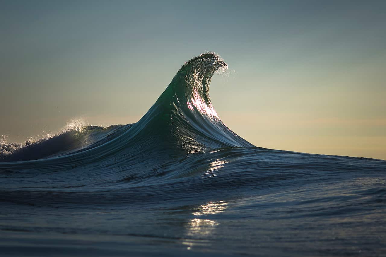 'Eagle" by Ray Collins