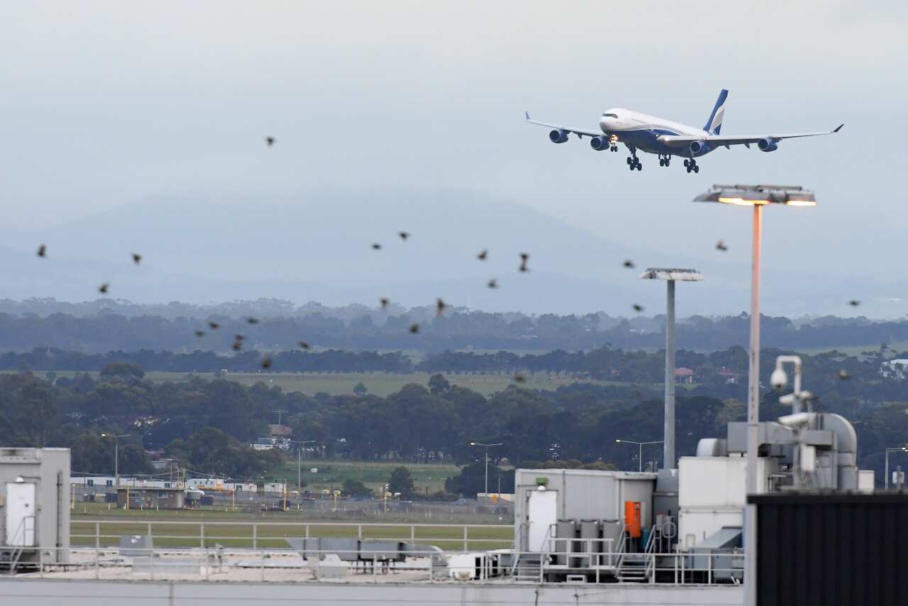 A flight lands at Melbourne Airport, Sunday, April 12, 2020