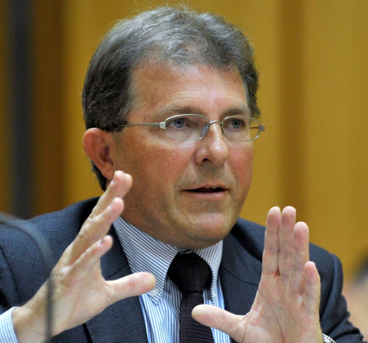 Warwick McKibbin, Australian professor